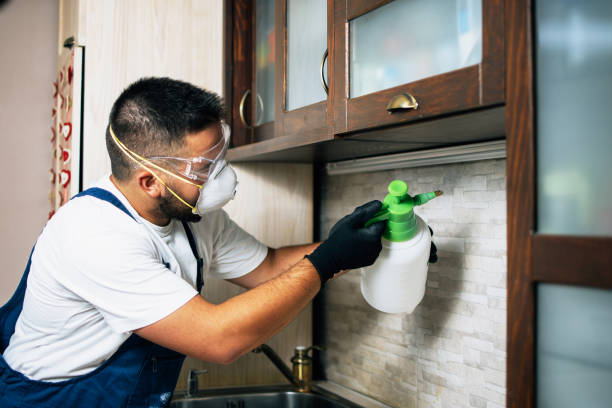Best Affordable Pest Control Services  in Roselle, NJ