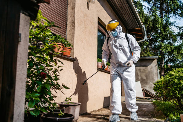 Best Affordable Pest Control Services  in Roselle, NJ