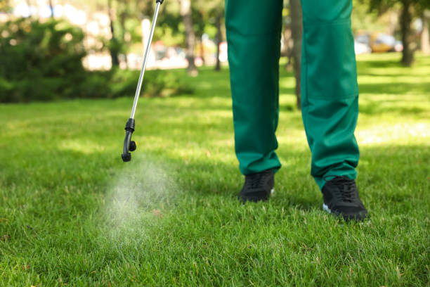 Best Pest Prevention Services  in Roselle, NJ