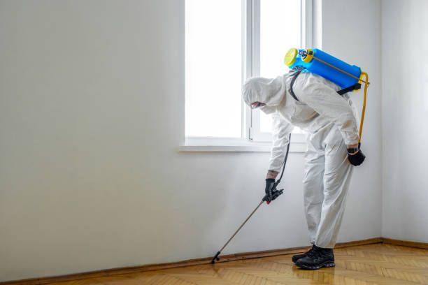 Best Emergency Pest Control  in Roselle, NJ