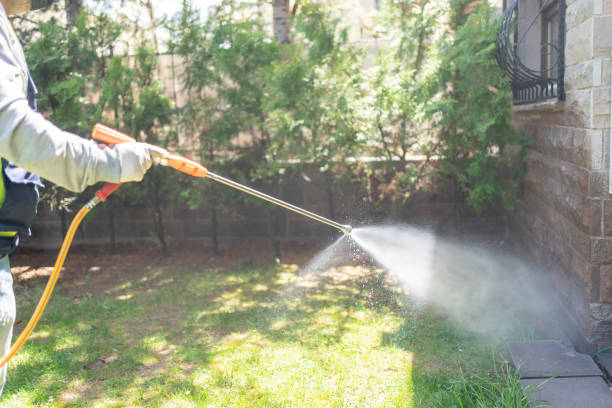 Best Affordable Pest Control Services  in Roselle, NJ