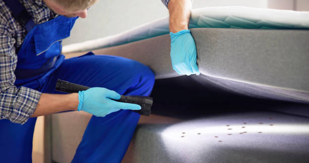 Best Termite Control Services  in Roselle, NJ