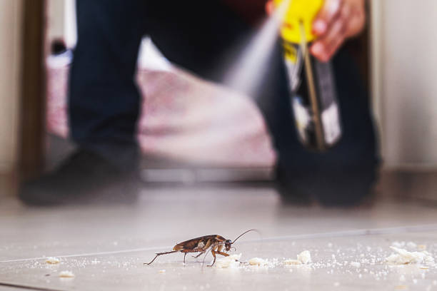Best Wasp Removal Services  in Roselle, NJ