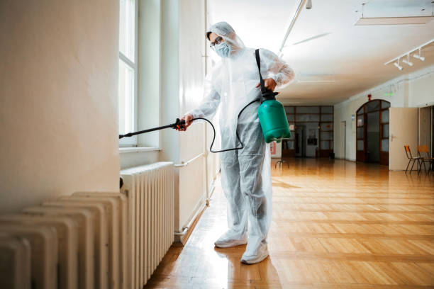 Best Flea Control Services  in Roselle, NJ