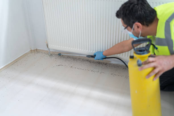 Best Residential Pest Control  in Roselle, NJ
